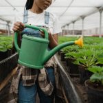 Skab Dit Personlige Grønne Refugium: Oplev Glæden ved Din Have